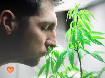 Детоксикация от марихуаны в Кизляре